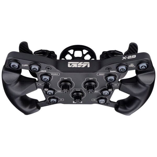 GSI X-29-4